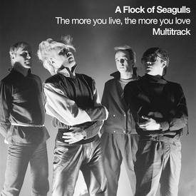 A Flock of Seagulls – The More You Live, The More You Love (Multitrack)